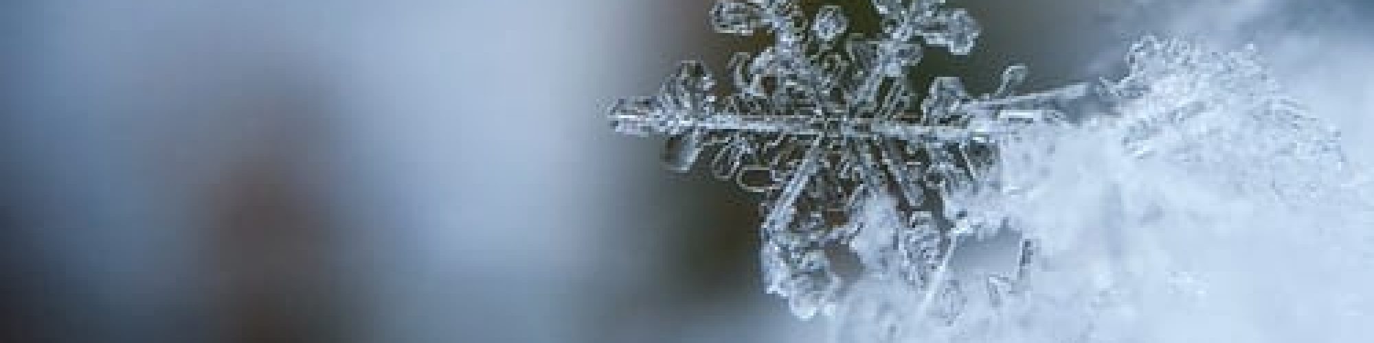 Winter Painting Projects Jerry Enos Painting