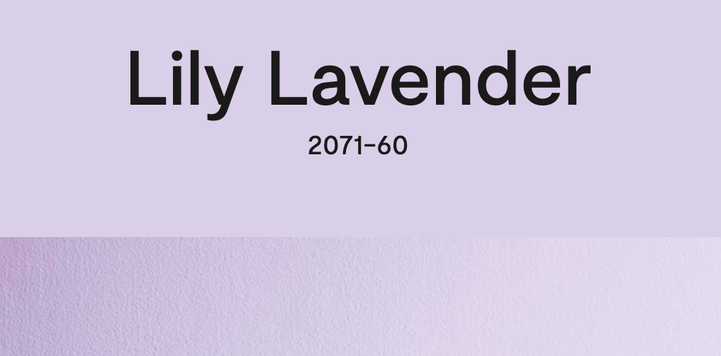 Lily Lavender
